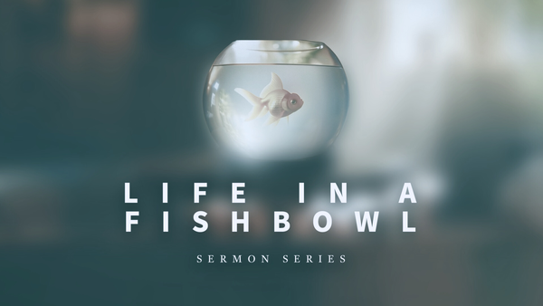 Life in a Fishbowl