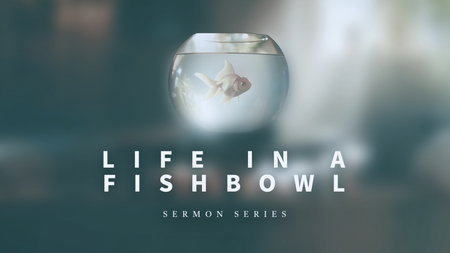 Life in a Fishbowl