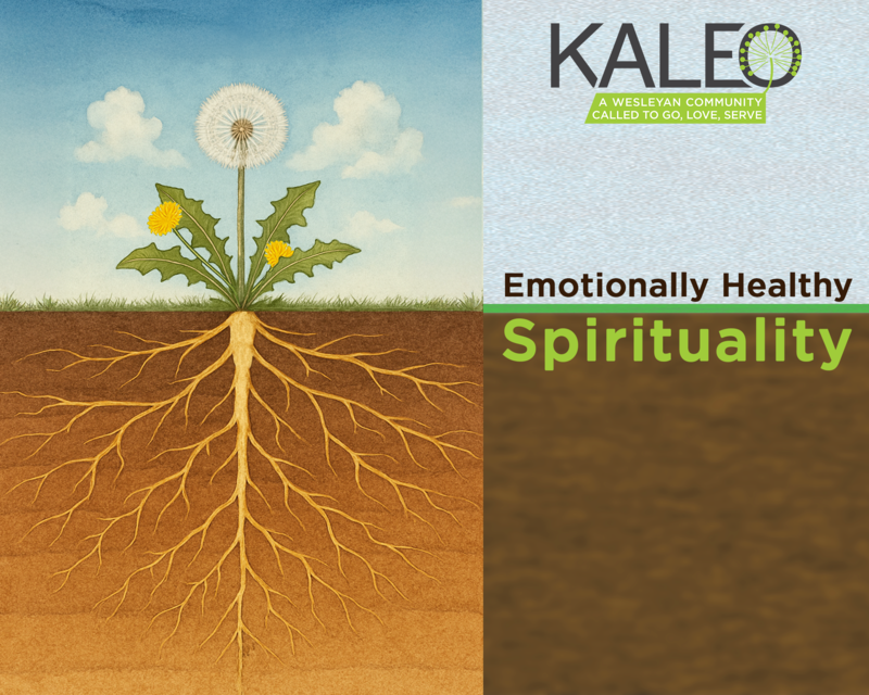 The Problem of Emotionally Unhealthy Spirituality