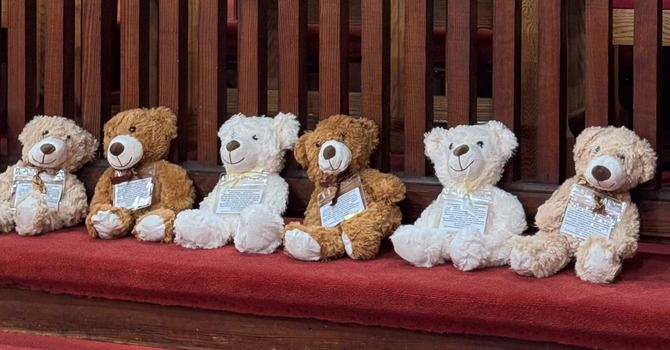 Teddy Bear Ministry Begins at Hallsboro UMC image