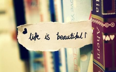 The Beautiful Life