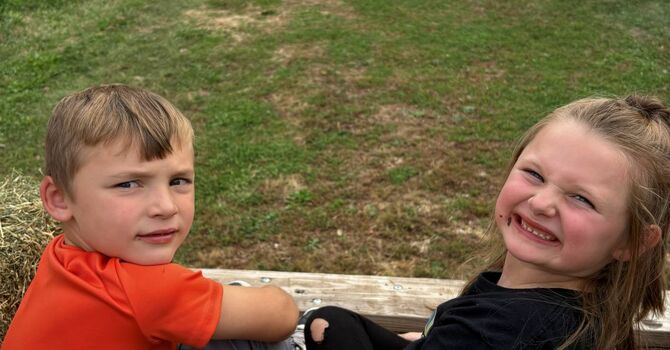 WASP on the Farm image