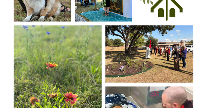 Season of Creation at Messiah image