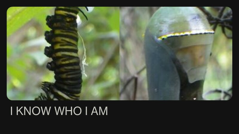 I KNOW WHO I AM