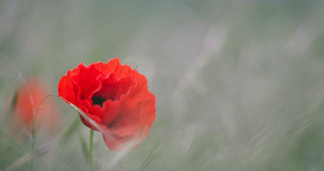 Worship Service November 2, 2025