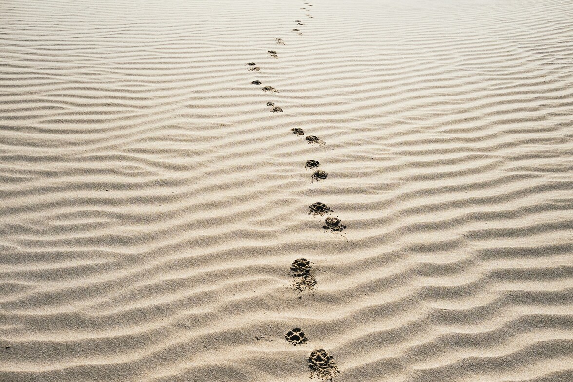 Slideshow image