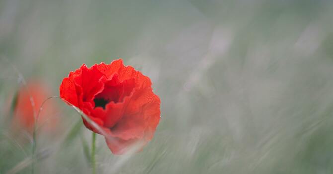 Worship Service November 2, 2025 image