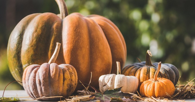 October 28, 2025 Devotion image