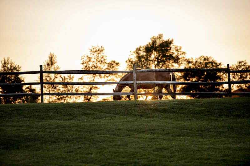 "Gratitude and Trusting"