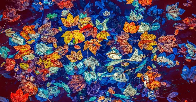 Worship Service-October 26, 2025 image