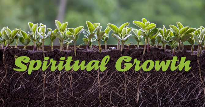 How Healthy Is Your Soil? - The Sower