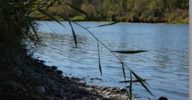 Nancy's Weekly Perk Message image