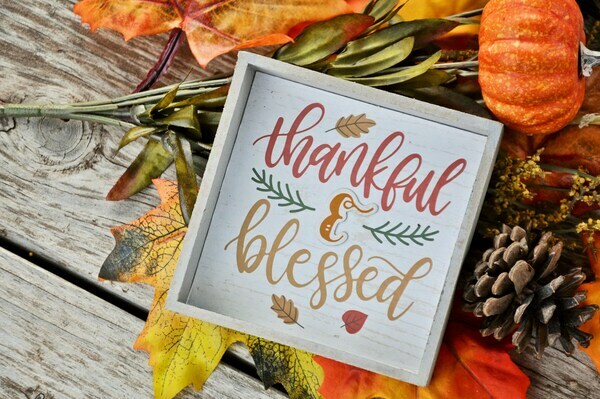 Thanksgiving Stewardship Letter