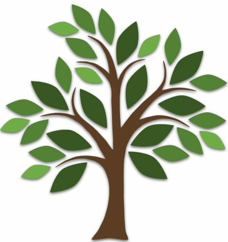 October 26, 2025 - Ordinary Time