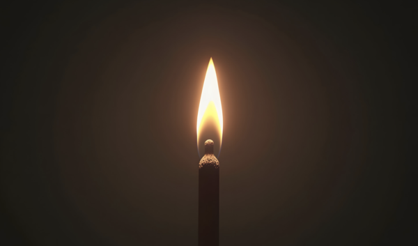 The Cathedral Scroll of Remembrance 2025