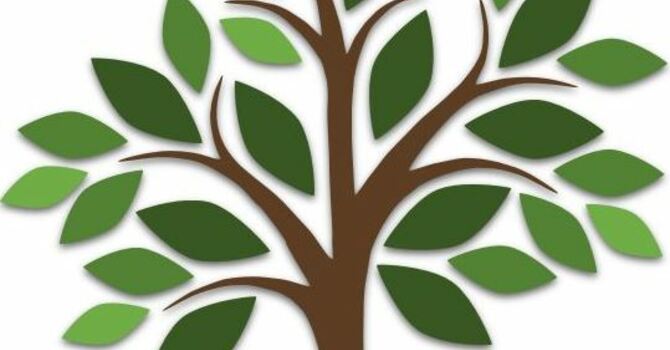 October 26, 2025 - Ordinary Time