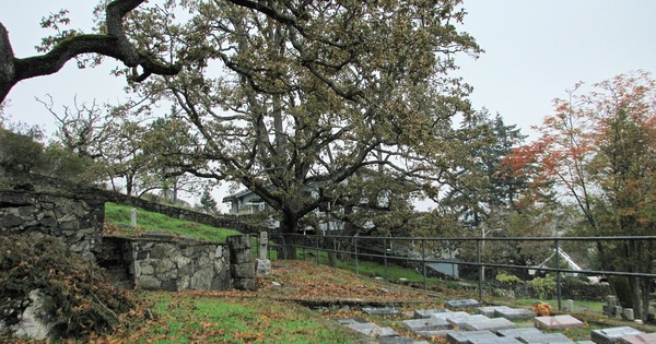 Community Cemetery Cleanup Morning