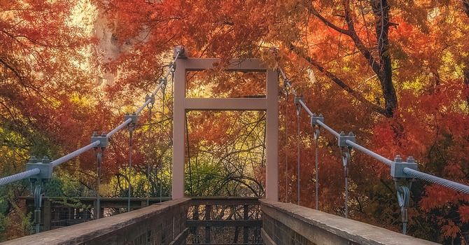 October 29, 2025 Devotion image