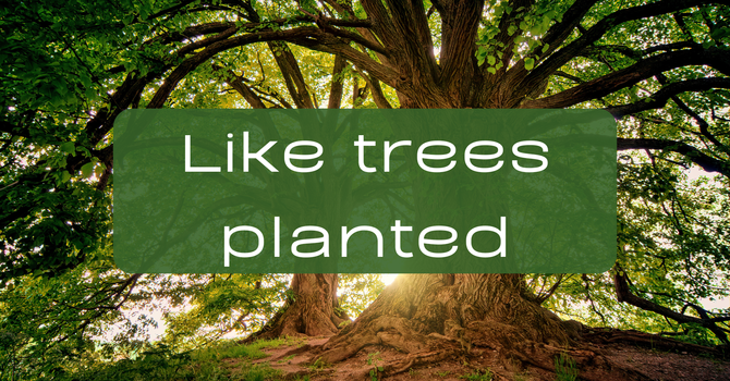 Weekly Newsletter image