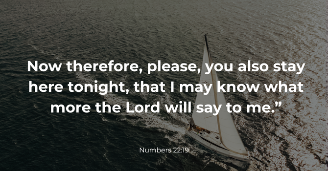Numbers 22:19 image