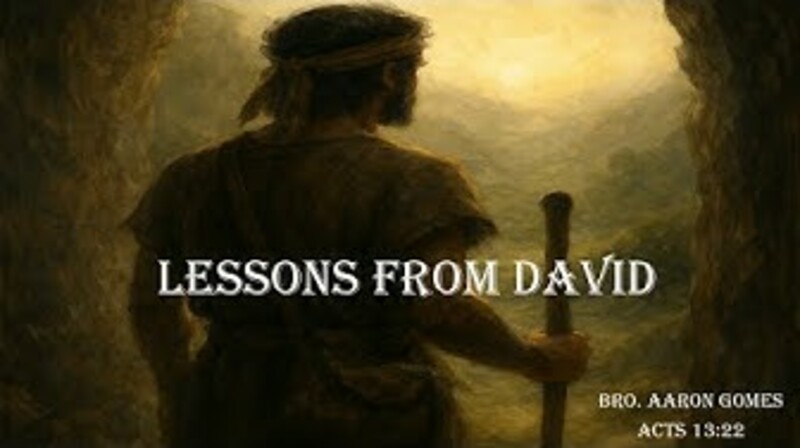 "Lessons From David"