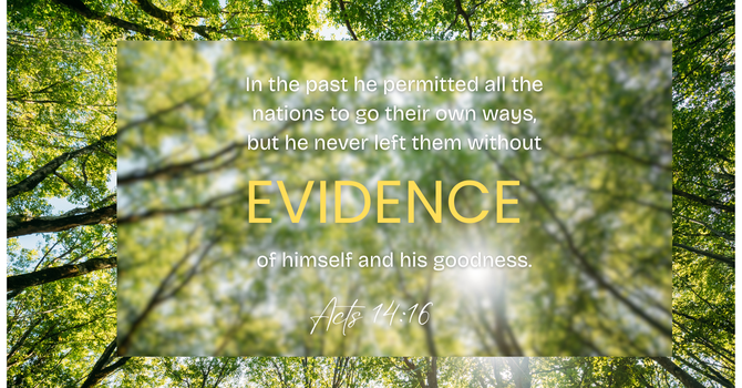 What Evidences Do You See? image