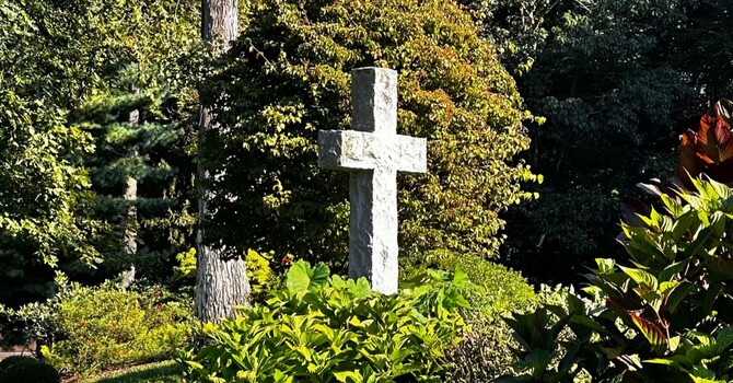 10:30 am Bulletin for      November 2, 2025 image