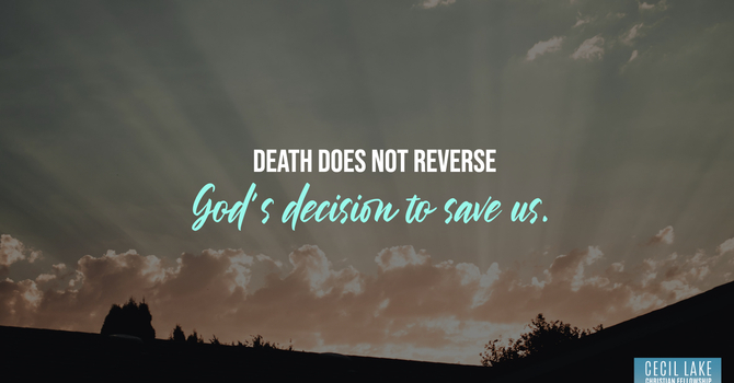 “IRREVERSIBLE” image