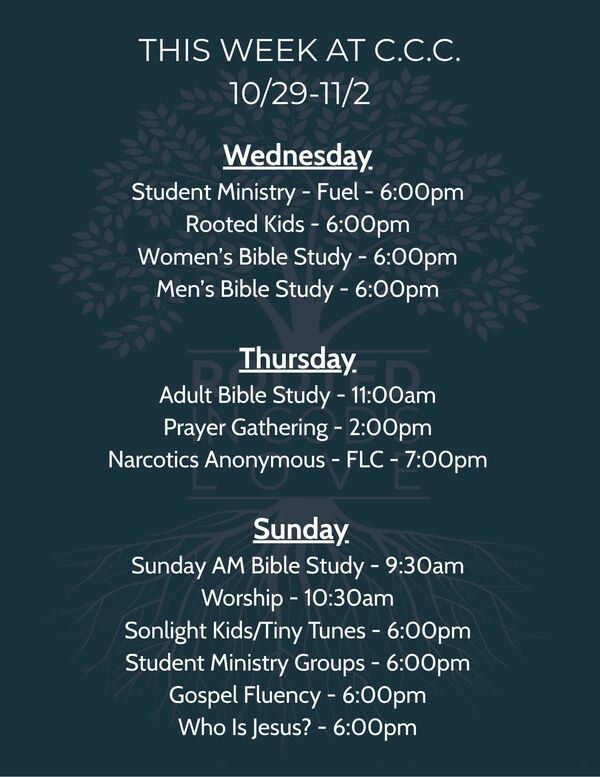 Weekly Schedule