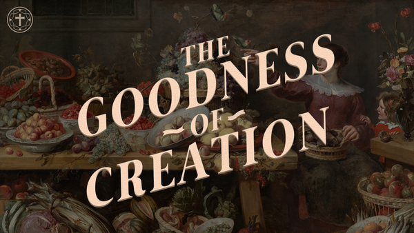 The Goodness of Creation
