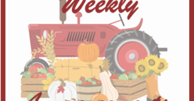 Weekly Announcements