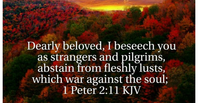 Prayer Letter  image