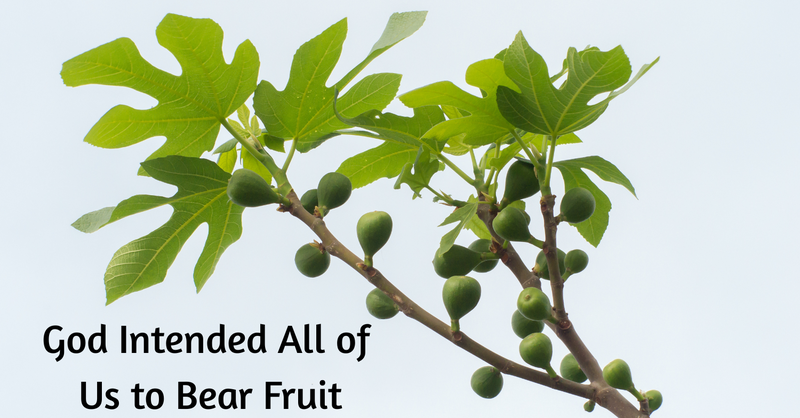 God Intended All of  Us to Bear Fruit