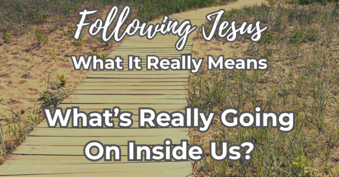 What’s Really Going On Inside Us?