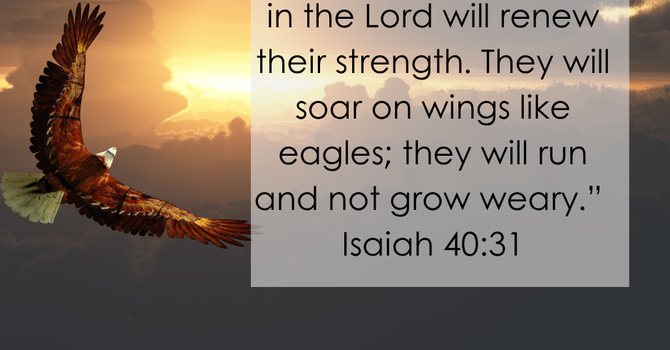 Isaiah 40:31 image