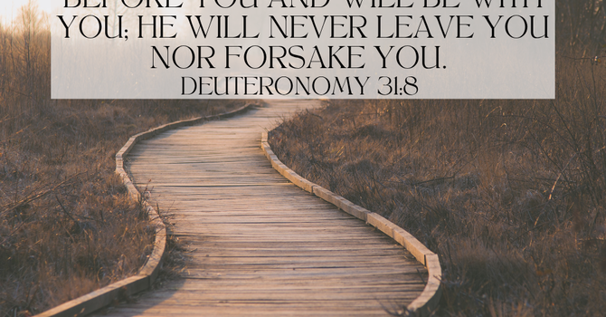 Deuteronomy 31:8 image