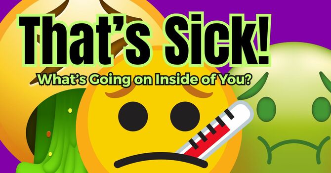 What Do I Do With My Anger?