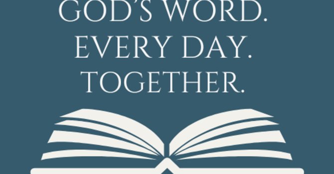 November 9th - November 30th image