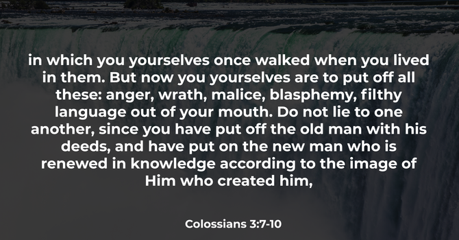 Colossians 3:7-10 image