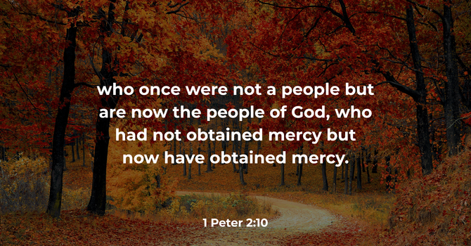 1 Peter 2:10 image