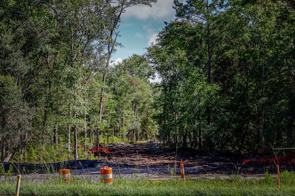 Workday - Property Cleanup