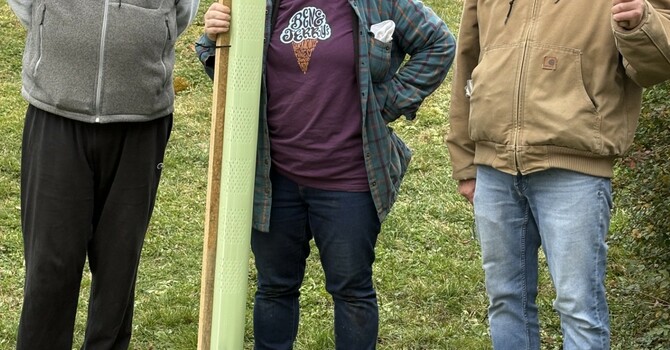 Tree Planting Around Campus image
