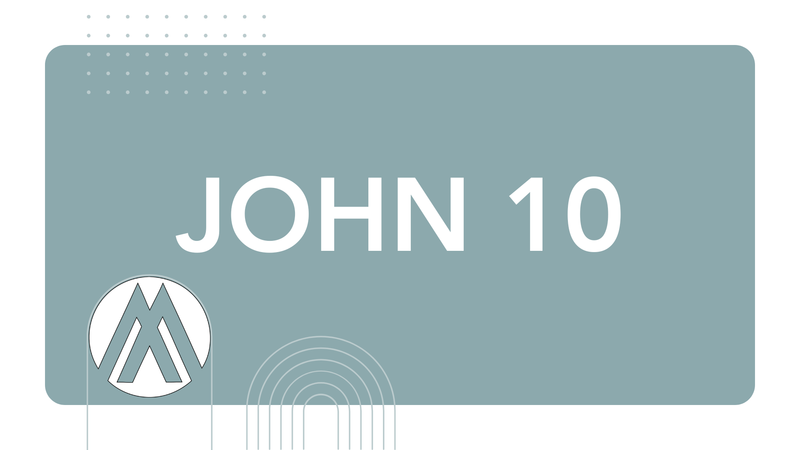 John Chapter 10