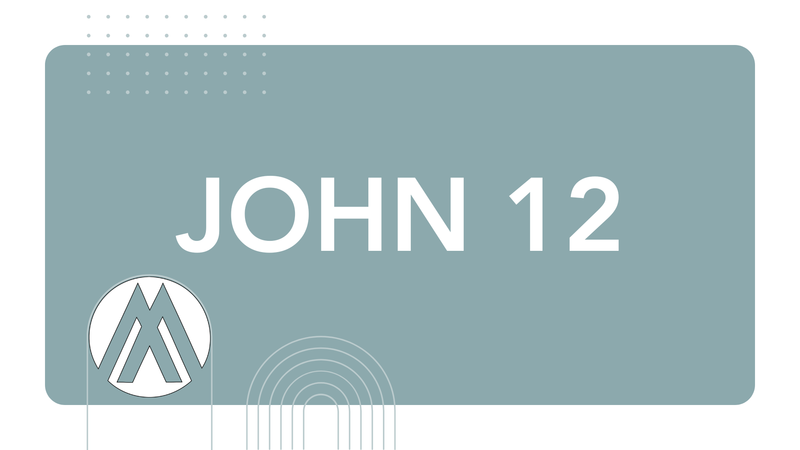 John Chapter 12