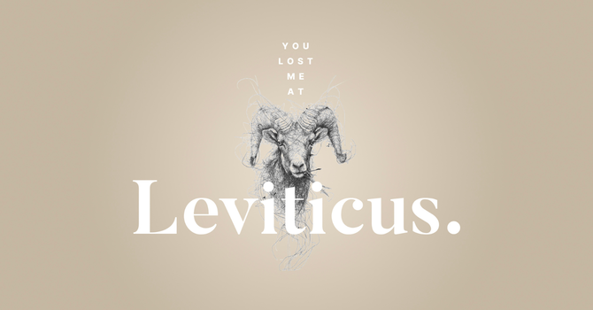 Leviticus Series
