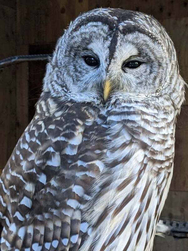 MARS Rep at Next Wednesday's 10 am Service