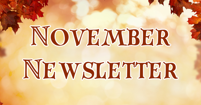 November Newsletter 2025 image
