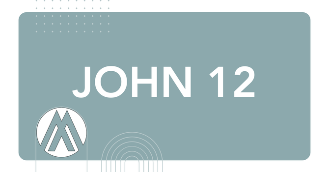John Chapter 12
