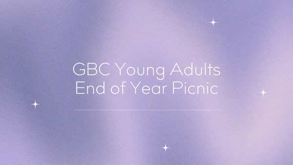 Young Adults End of Year Picnic
