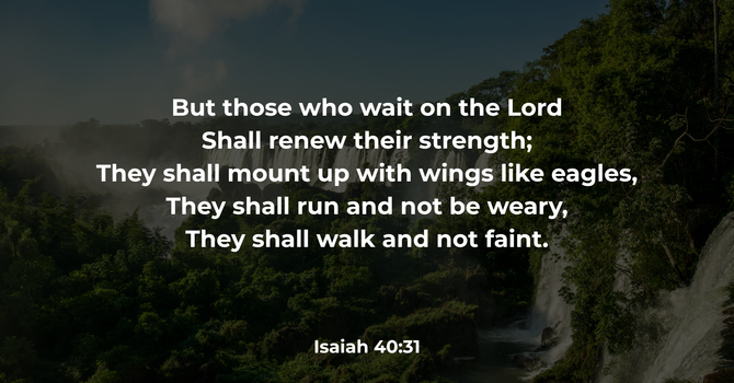 Isaiah 40:31 image